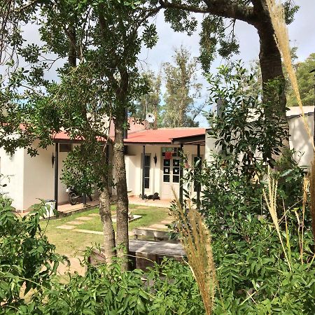 Hostel Punta Ballena Bar Пунта дел Есте Екстериор снимка
