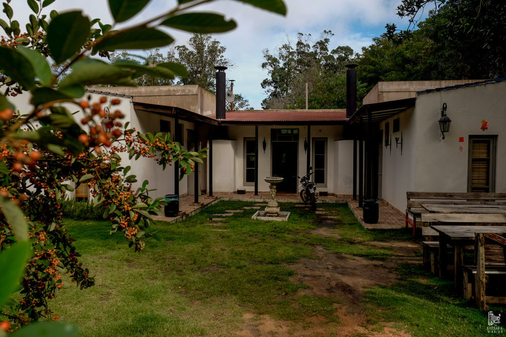 Hostel Punta Ballena Bar Пунта дел Есте Екстериор снимка