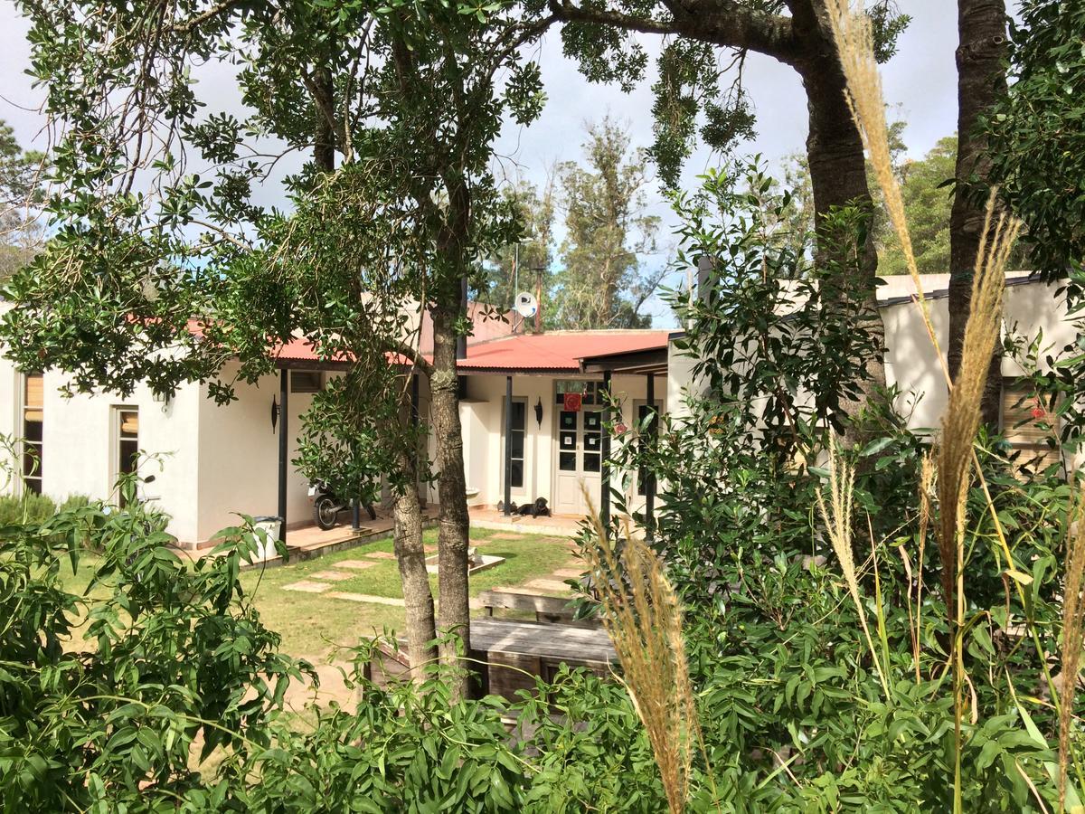 Hostel Punta Ballena Bar Пунта дел Есте Екстериор снимка