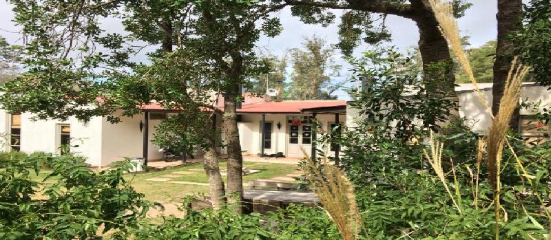 Hostel Punta Ballena Bar Пунта дел Есте Екстериор снимка